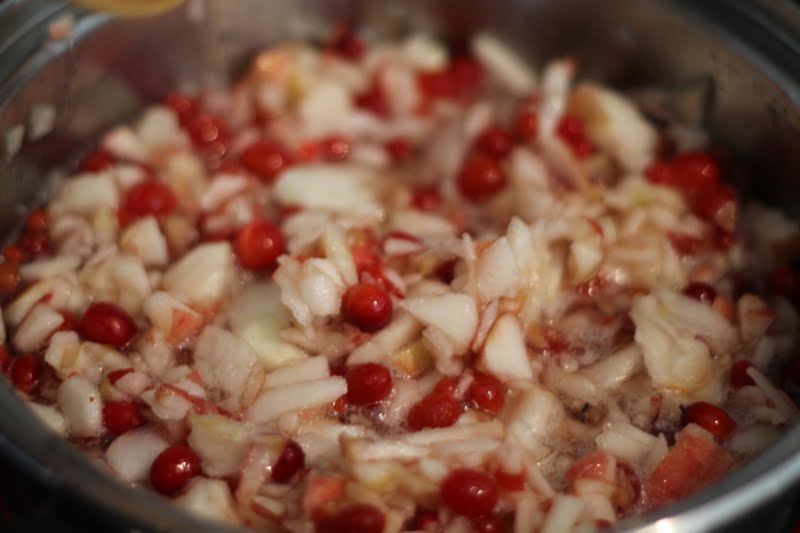 Canning Spiced Apple Cranberry Jam Canning Spiced Apple Cranberry Jam
