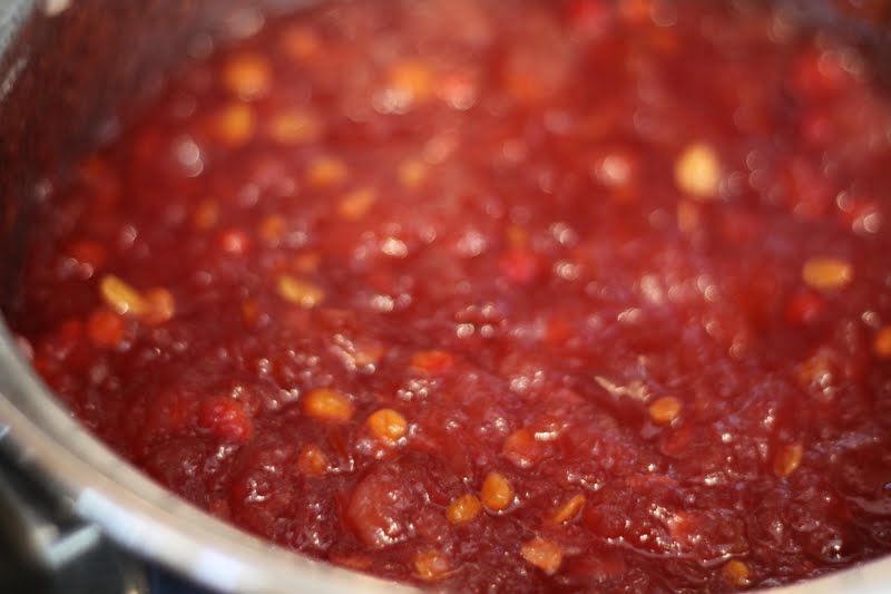 Canning Spiced Apple Cranberry Jam Canning Spiced Apple Cranberry Jam