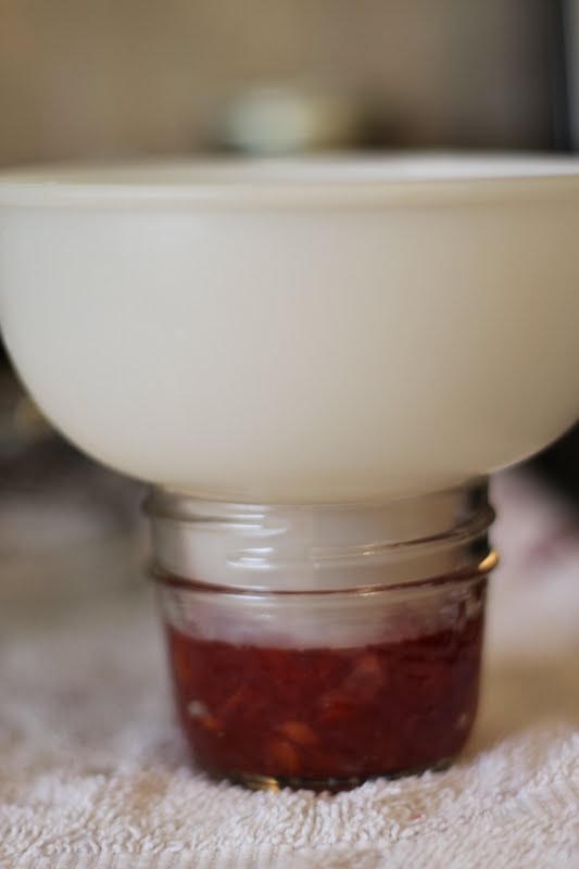 Canning Spiced Apple Cranberry Jam Canning Spiced Apple Cranberry Jam