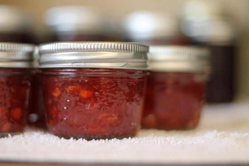 Canning Spiced Apple Cranberry Jam Canning Spiced Apple Cranberry Jam
