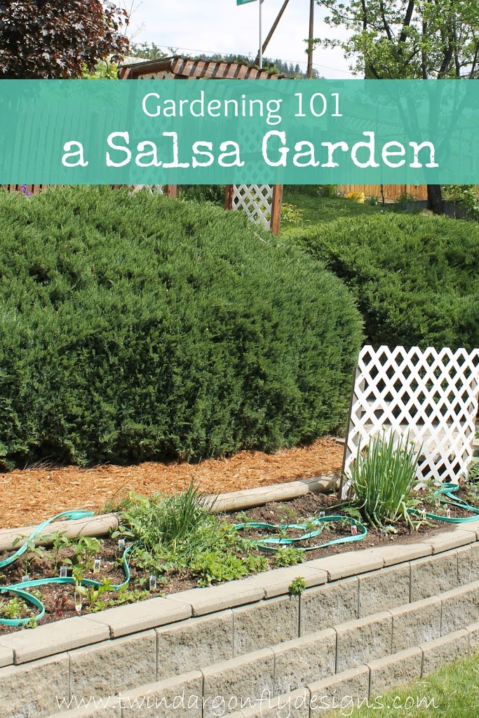 How to Plant a Salsa Garden