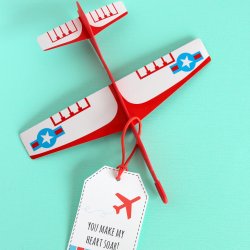 Airplane Valentines with Free Printable
