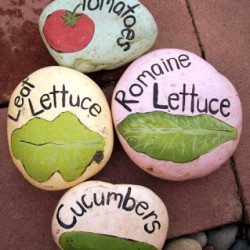 20+ Painted Rock Crafts