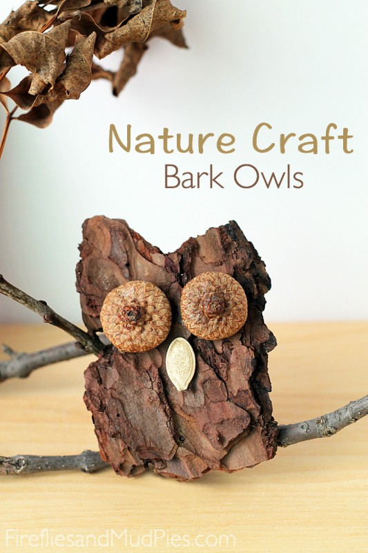 Bark Owls