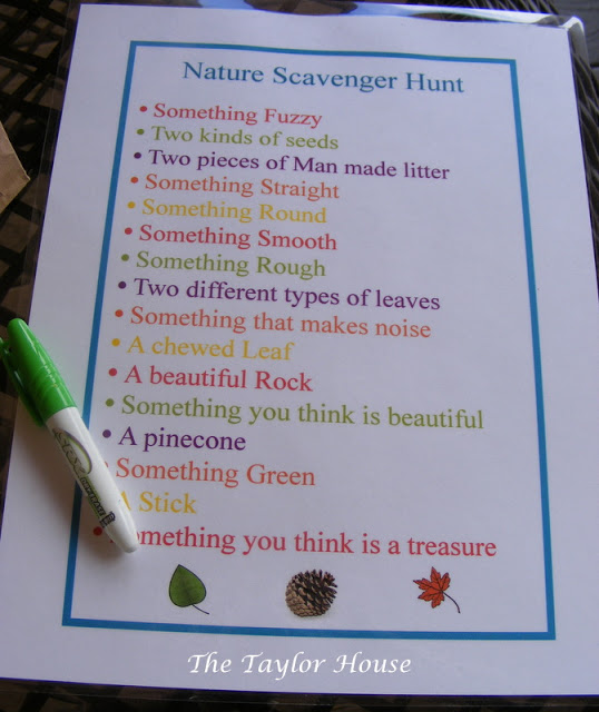 20+ Nature Scavenger Hunt Ideas