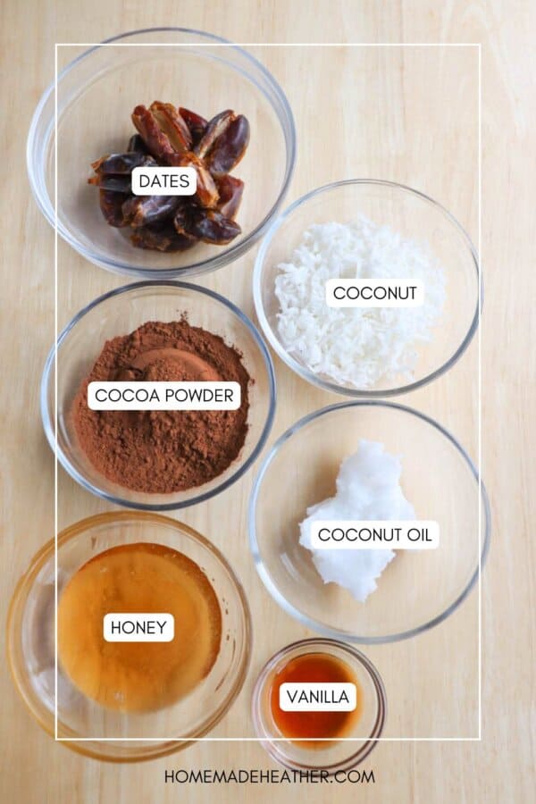 Ingredients for chocolate coconut date bars are arranged on a table: bowls containing dates, shredded coconut, cocoa powder, coconut oil, honey, and vanilla. Each bowl is clearly labeled.