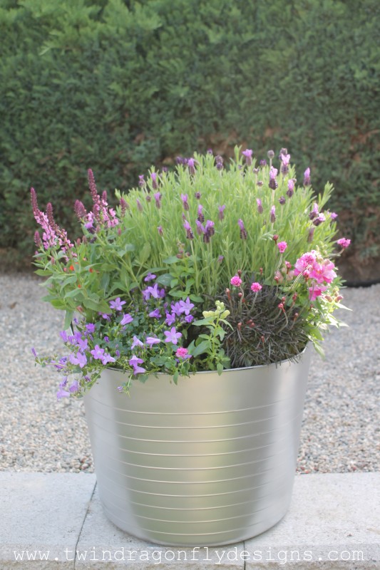 Plastic bucket painted with silver spray paint with green bee friendly plants that have purple blooms.