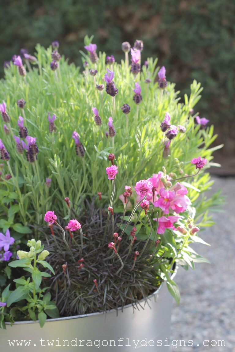 Create a Bee Friendly Planter