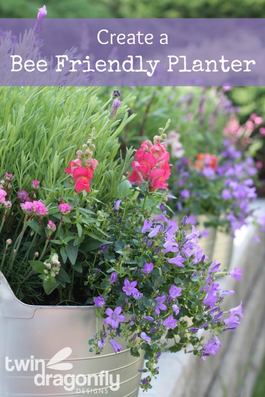 Create a Bee Friendly Planter