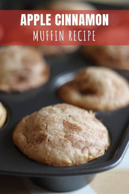 Apple Cinnamon Muffin Recipe