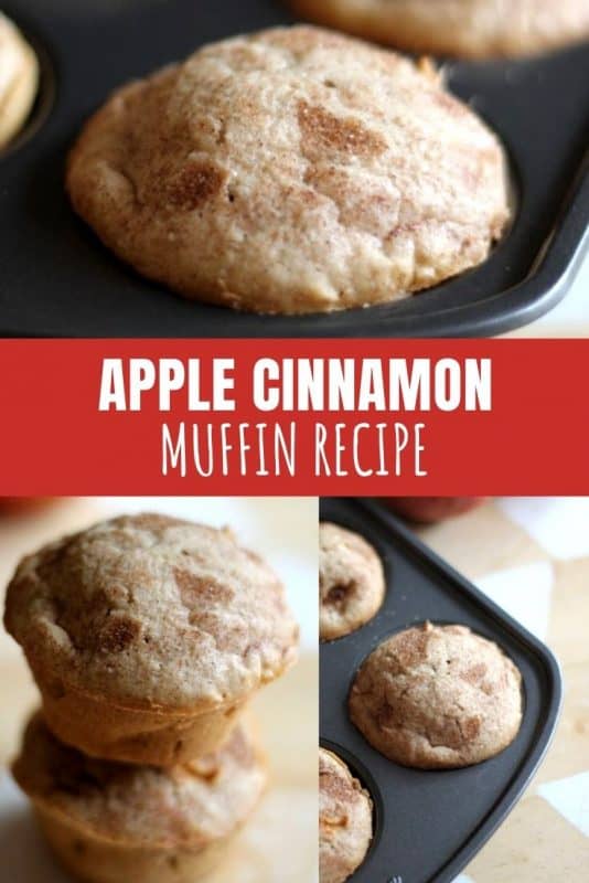 Apple Cinnamon Muffins
