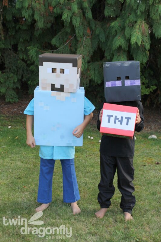 Minecraft Steve and Enderman Costumes