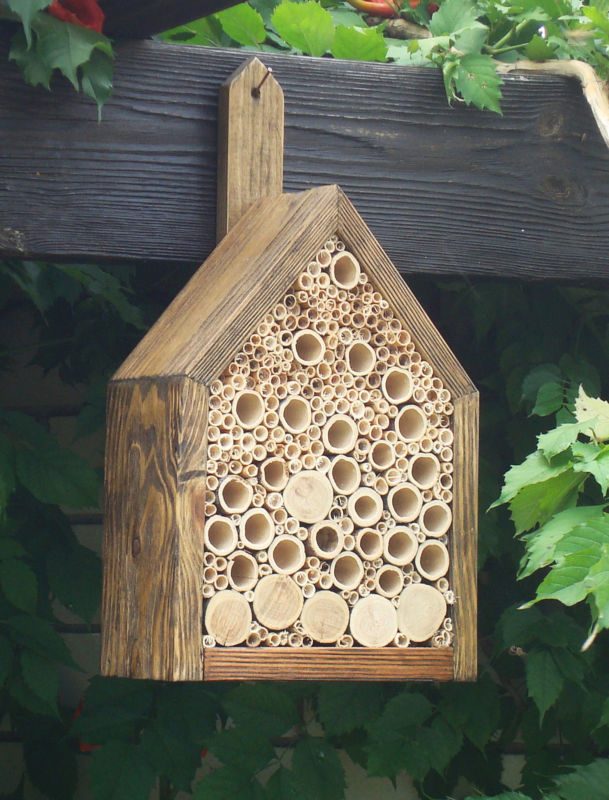 Bee House made of wood and hallow tubes with leaves in the background.