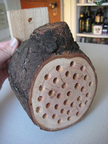 Bee House made from a round of wood with holes drilled in it.