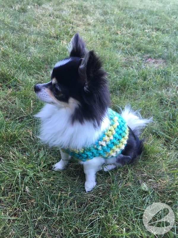 Small Dog Crochet Sweater Pattern