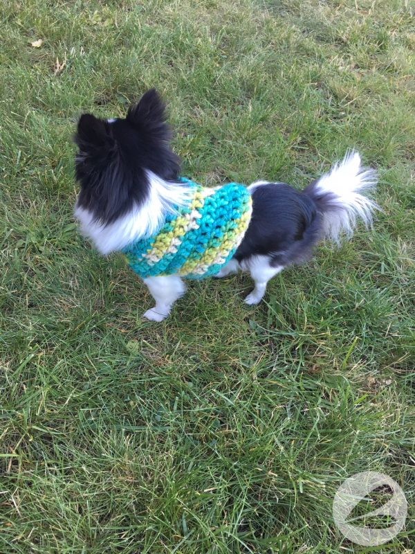 Small Dog Crochet Sweater Pattern