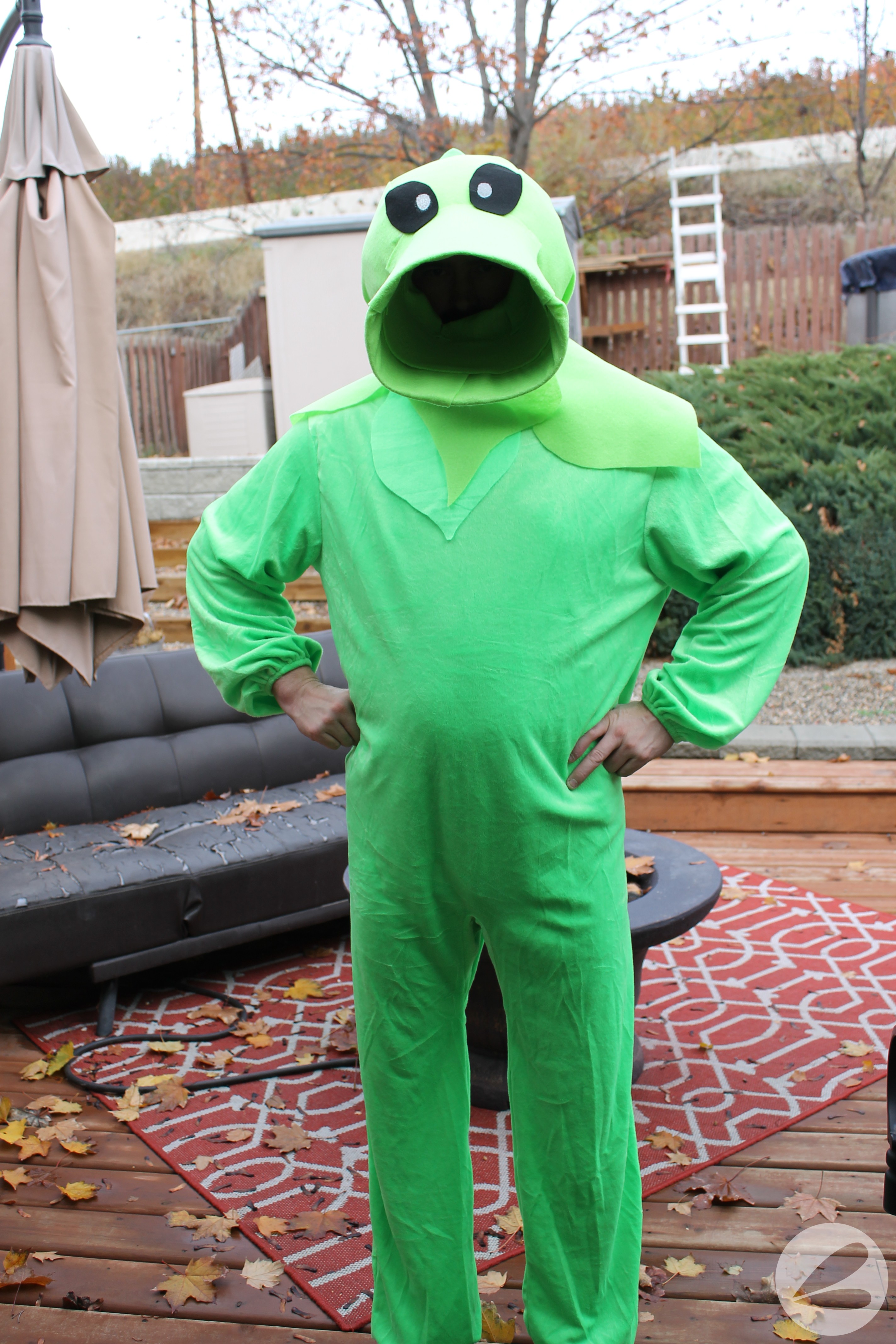 Plants Vs Zombies Pea Shooter Costume » Homemade Heather