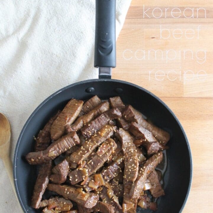 korean beef camping freezer meal