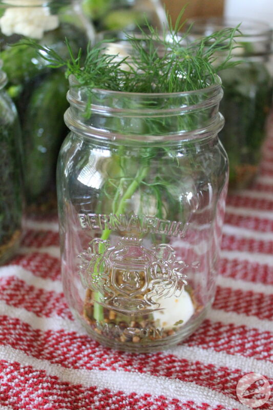 A jar with garlic, dill, and pickling spice.