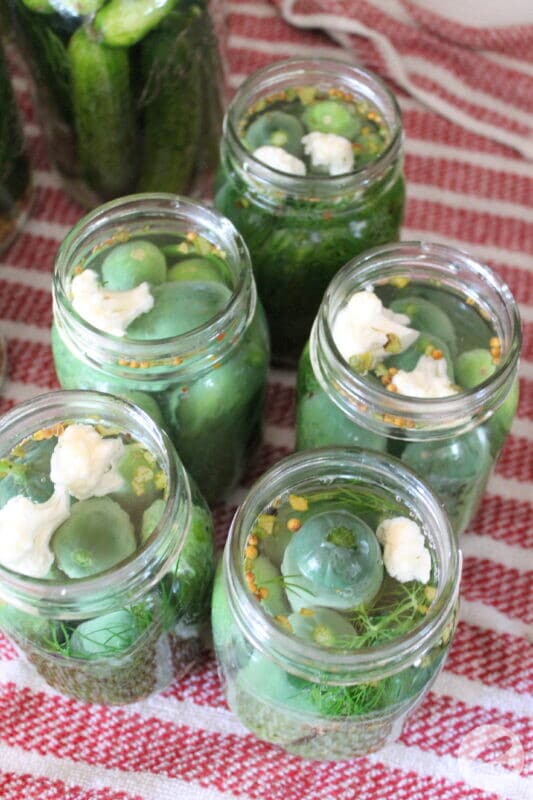 Easy pickle recipe with garlic, dill, and spices in a large mason jar before canning.