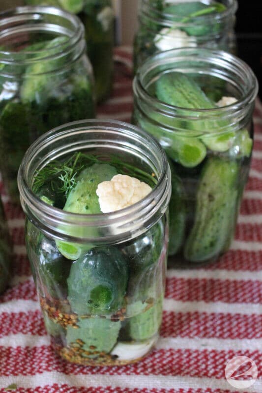 Easy pickle recipe with cucumbers, cauliflower, garlic, dill, and spices in a large mason jar before canning.