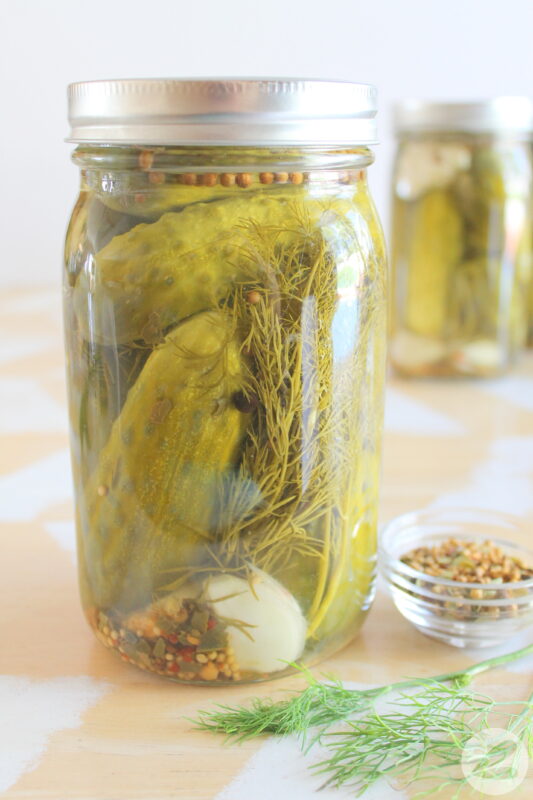 Easy pickle recipe with garlic, dill, and spices in a large mason jar.
