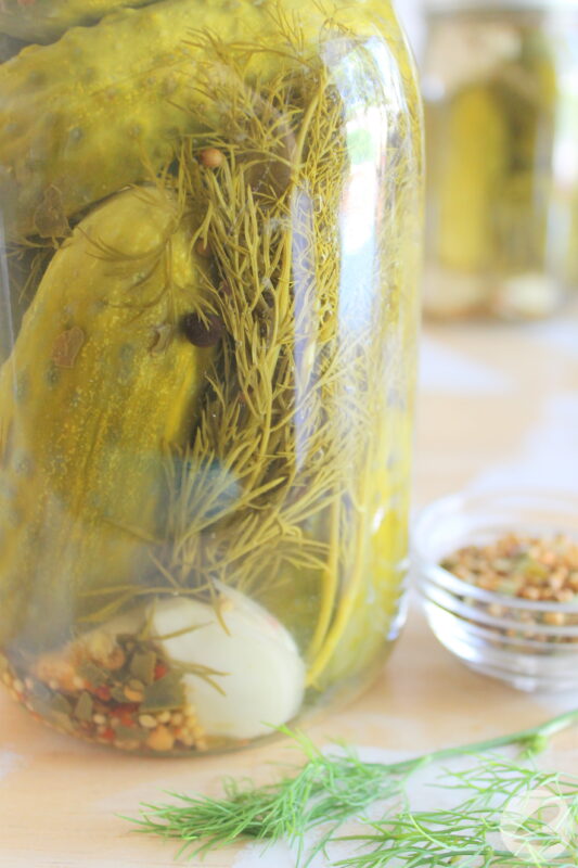 Easy pickle recipe with garlic, dill, and spices in a large mason jar.
