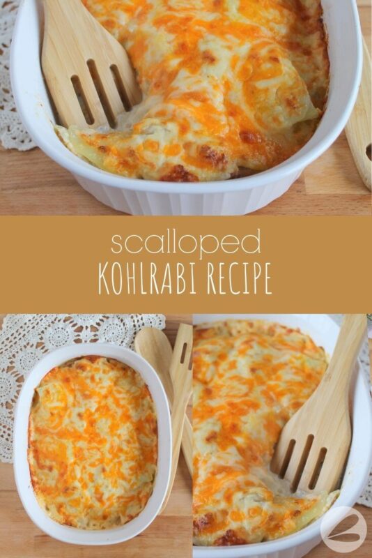 Scalloped Kohlrabi Recipe
