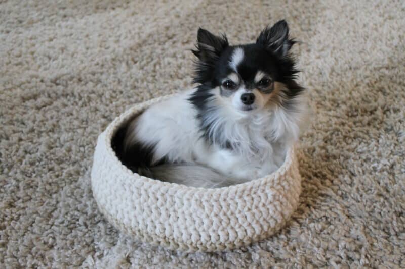 crochet dog bed pattern