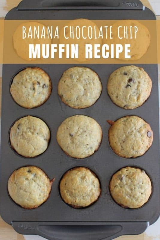 banana chocolate chip muffins recipe
