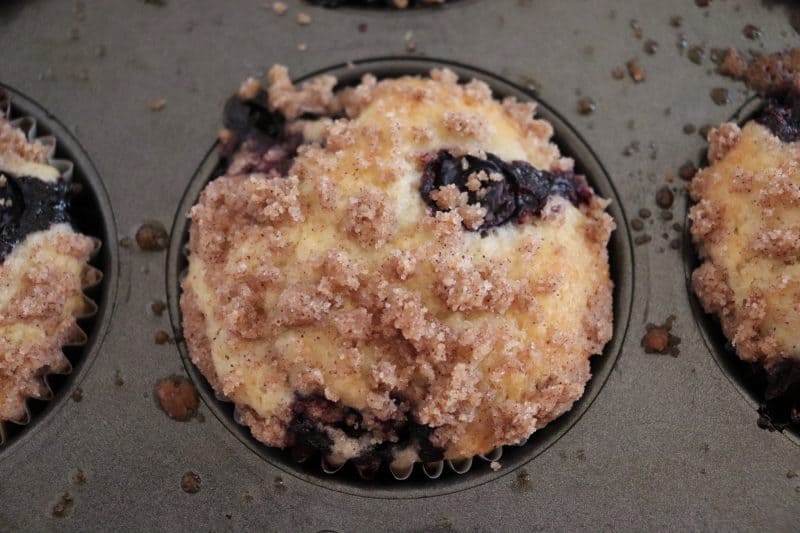 Saskatoon Muffin Recipe