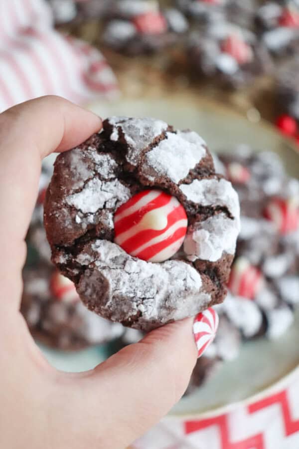 A hand holding a chocolate crinkle cookie topped with a red and white striped candy blossom. Other similar cookies are visible on a plate in the blurry background, echoing the festive charm of candy cane treats. The cookie is dusted with powdered sugar.
