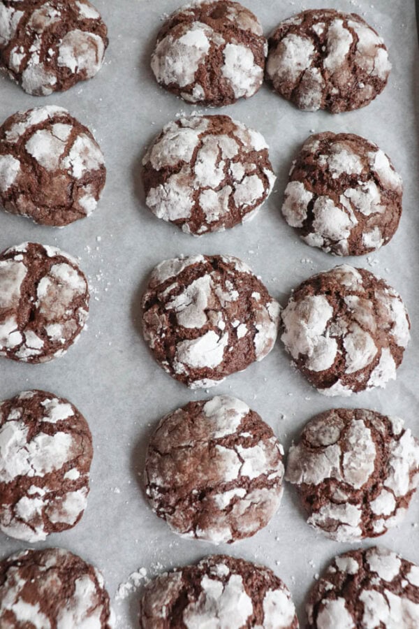 A baking tray filled with freshly baked chocolate crinkle cookies, topped with powdered sugar for a cracked appearance, sits like candy cane blossoms in neat rows on parchment paper.