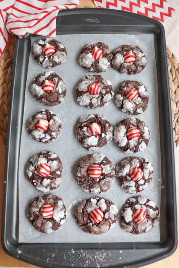 A baking tray with twelve chocolate crinkle cookies, each resembling a candy cane blossom with a red and white striped candy on top, rests on parchment paper. A red and white chevron napkin is partially visible in the background.