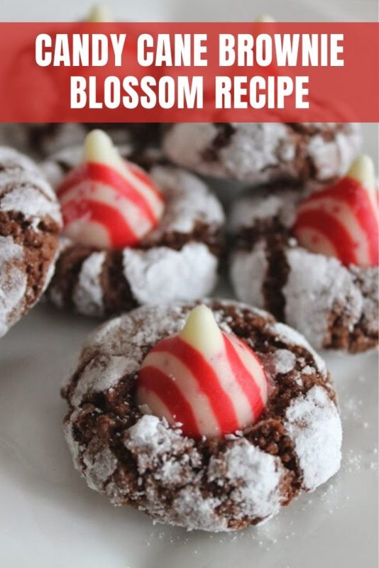 candy cane brownie blossom recipe