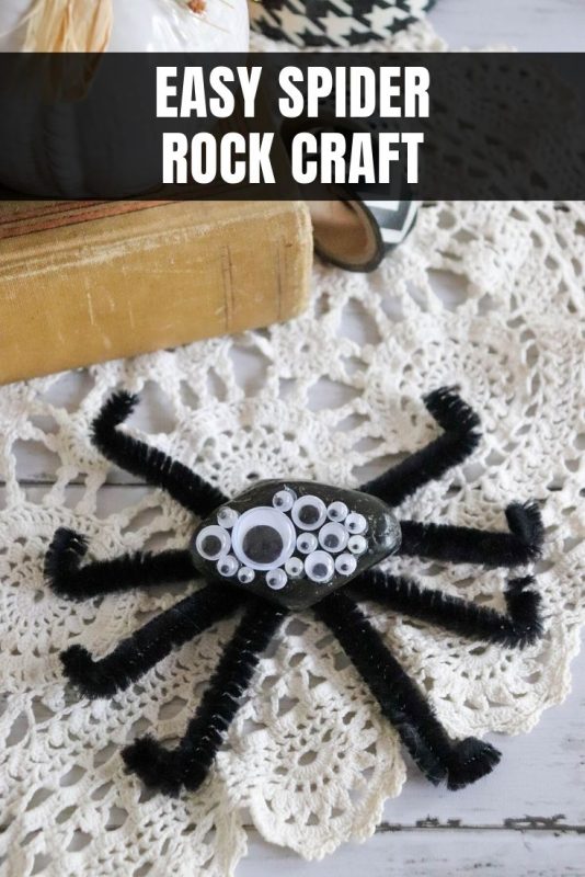 spider rock craft