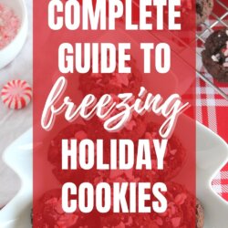 Complete Guide to Freezing Holiday Cookies