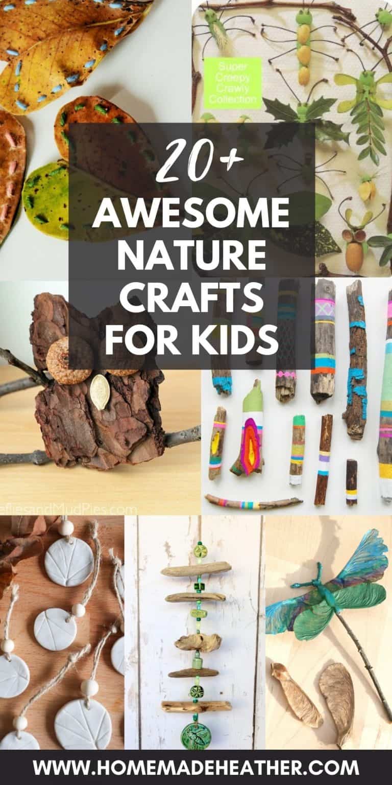 20+ Awesome Nature Crafts for Kids