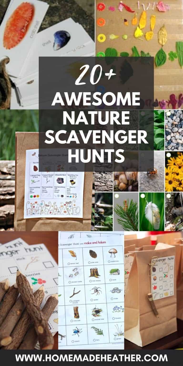 20+ Outdoor Nature Scavenger Hunt Ideas