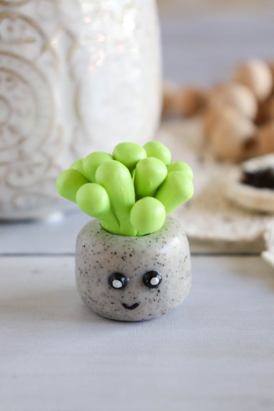 clay succulent craft
