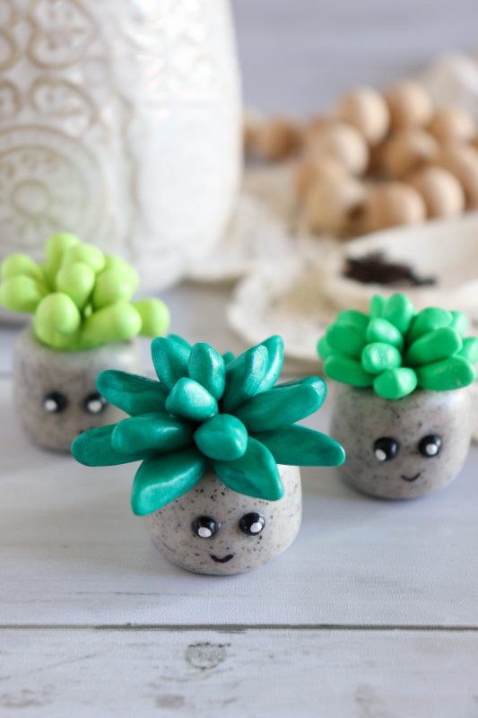 clay succulent craft