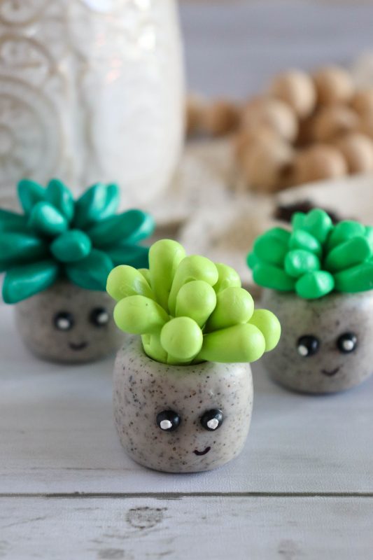 clay succulent craft