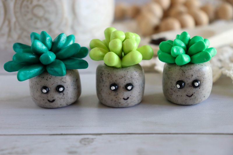 clay succulent craft