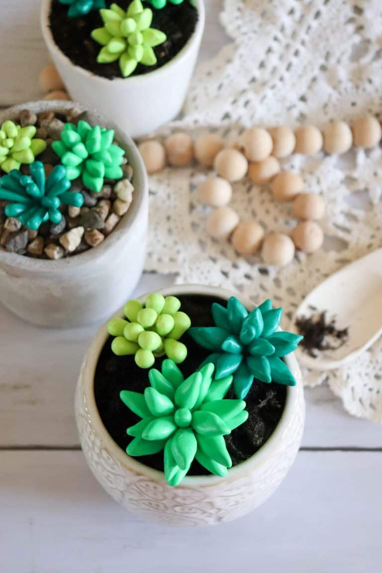 DIY Polymer Clay Succulent Plants