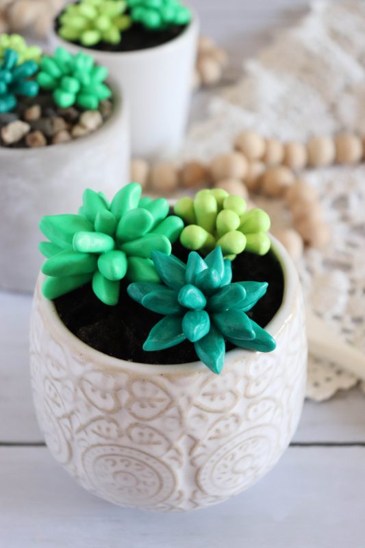 Clay succulent plants in a white pot.