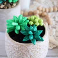 clay succulent plant craft