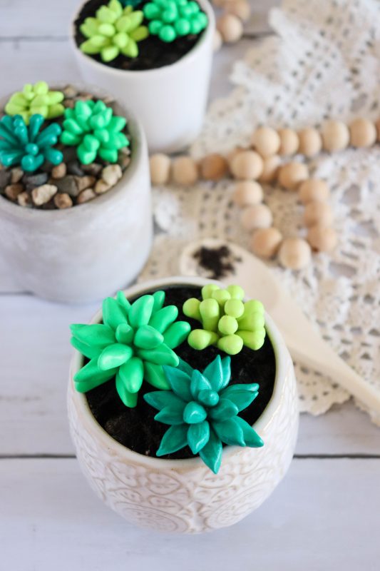 clay succulent plant craft clay succulent plant craft