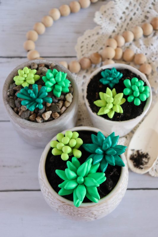clay succulent plant craft clay succulent plant craft