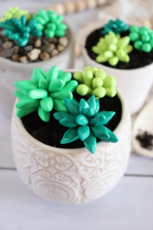 clay succulent plant craft clay succulent plant craft