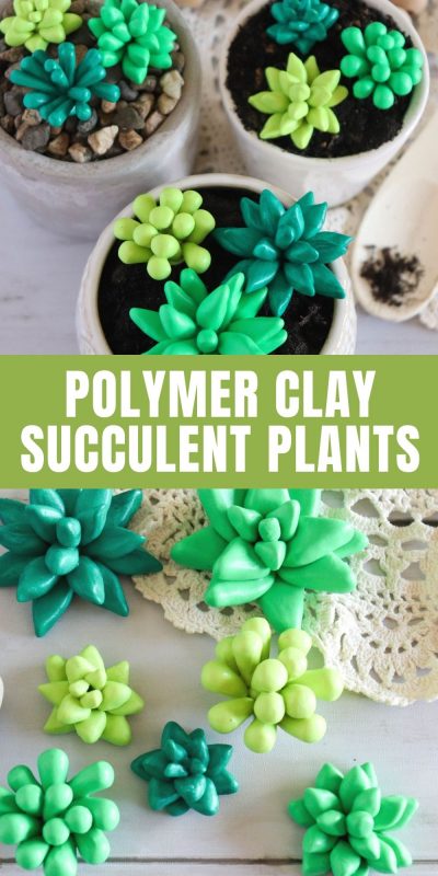 diy clay succulent plants